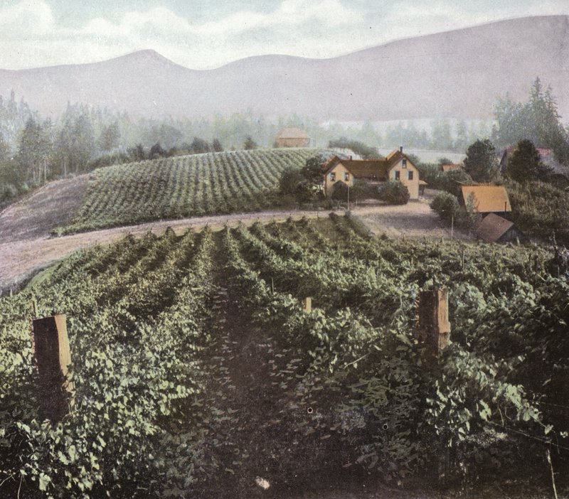 Oregon : Agriculture diversifiée dans la vallée de Willamette - American Photographer (after)