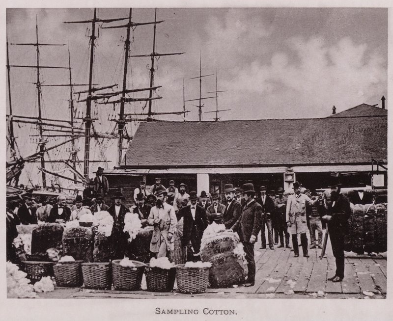 Échantillonnage de coton - American Photographer (after)