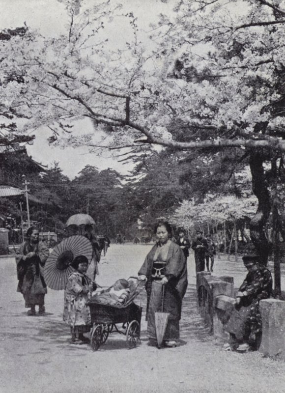 Sous les cerisiers en fleurs au parc de Shiba, Tokyo - American Photographer (after)