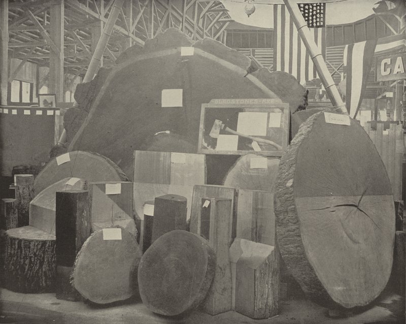 La hache de Gladstone - American Photographer