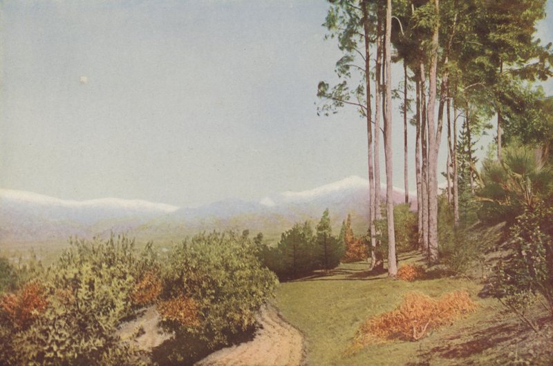 "Old Baldy, de Smiley Heights, Californie (photo couleur) - American Photographer