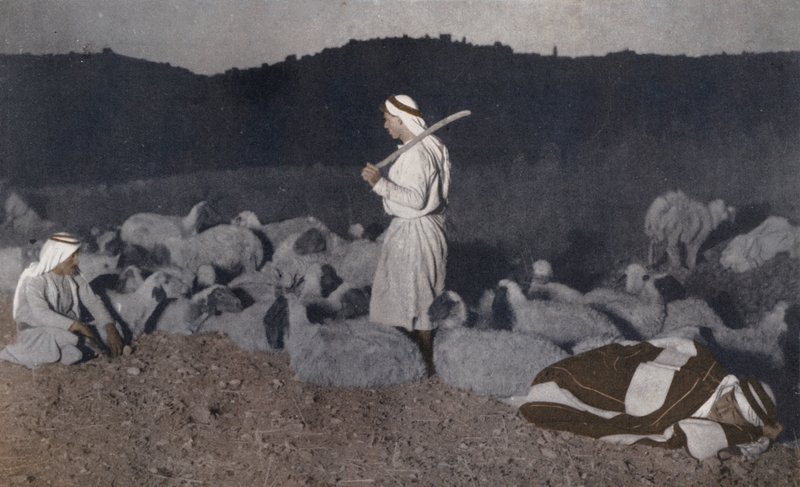 Bergers palestiniens surveillant leur troupeau la nuit (photo en couleur) - American Photographer