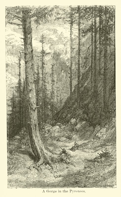 Une gorge dans les Pyrénées - American School