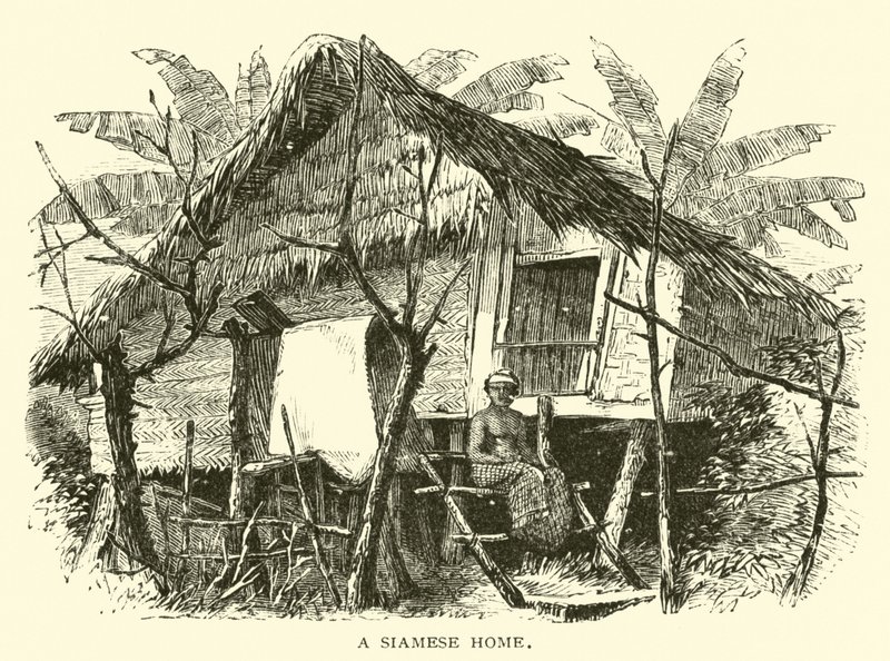 Une maison siamoise - American School