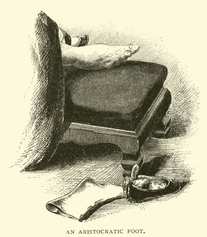 Un pied aristocratique - American School