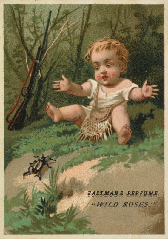 Bébé dans les bois - American School
