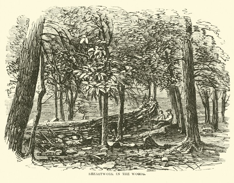 Travail de terrassement dans les bois, juillet 1863 - American School