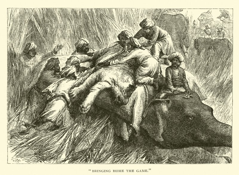 ?Ramener le gibier? - American School