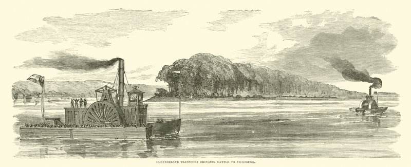 Transport confédéré apportant du bétail à Vicksburg, février 1863 - American School