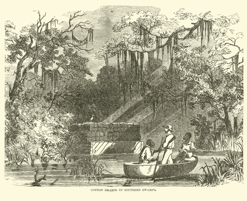 Réserves de coton dans les marais du Sud, juillet 1862 - American School