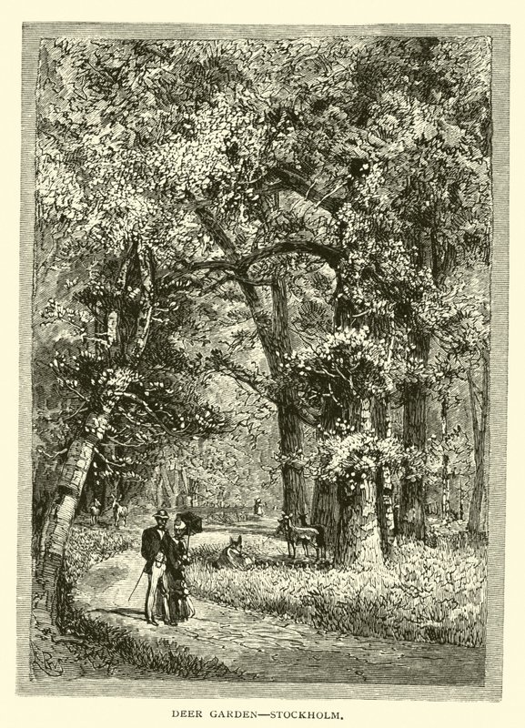 Jardin des Cerfs, Stockholm - American School