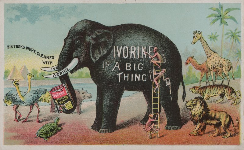 Éléphant faisant la publicité du savon Ivorine - American School