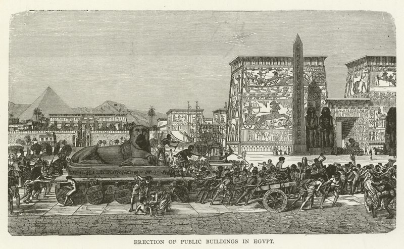 Érection de bâtiments publics en Égypte - American School