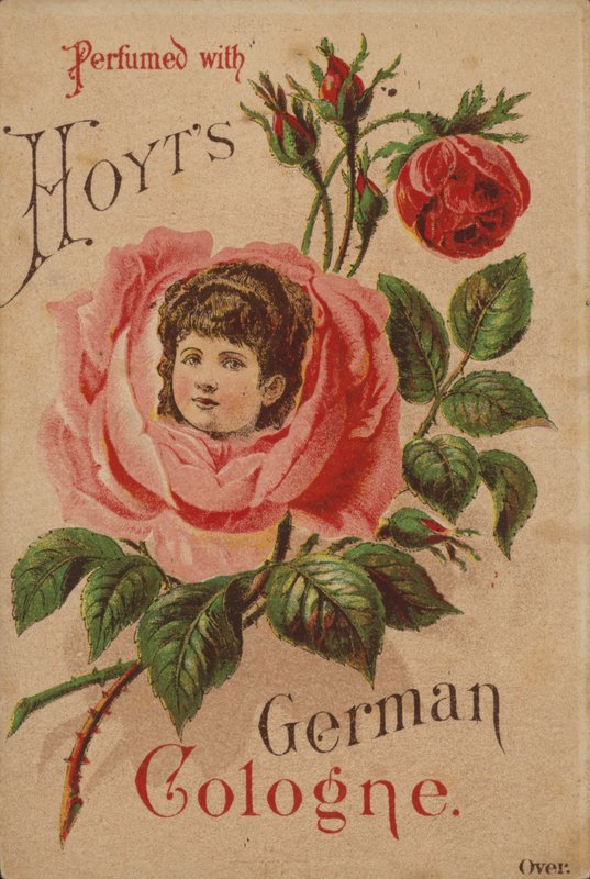 Cologne allemande de Hoyt - American School