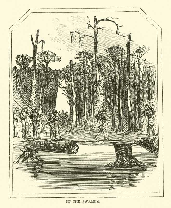 Dans les marais, mars 1863 - American School