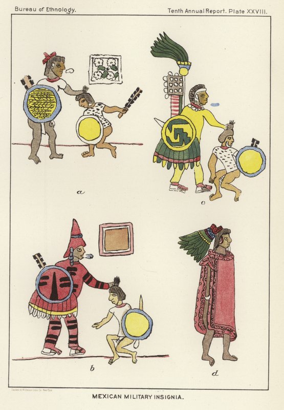 Insignes militaires mexicains - American School