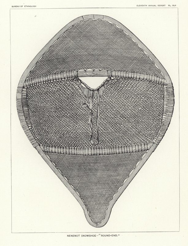 Raquette Nenenot - Extrémité ronde - American School