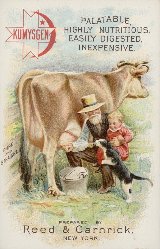 Vieil homme trayant une vache, avec un enfant et un chat - American School