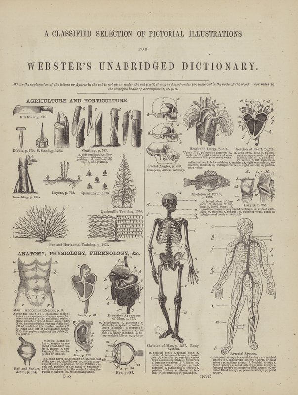 Page du dictionnaire complet de Webster (George Bell) - American School