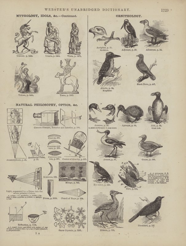Page du dictionnaire complet de Webster (George Bell) - American School