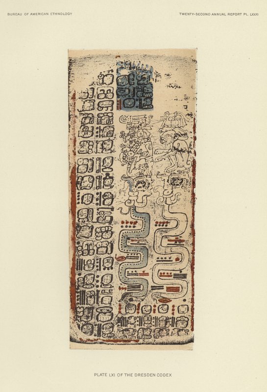 Planche LXI du Codex de Dresde (lithographie couleur) - American School