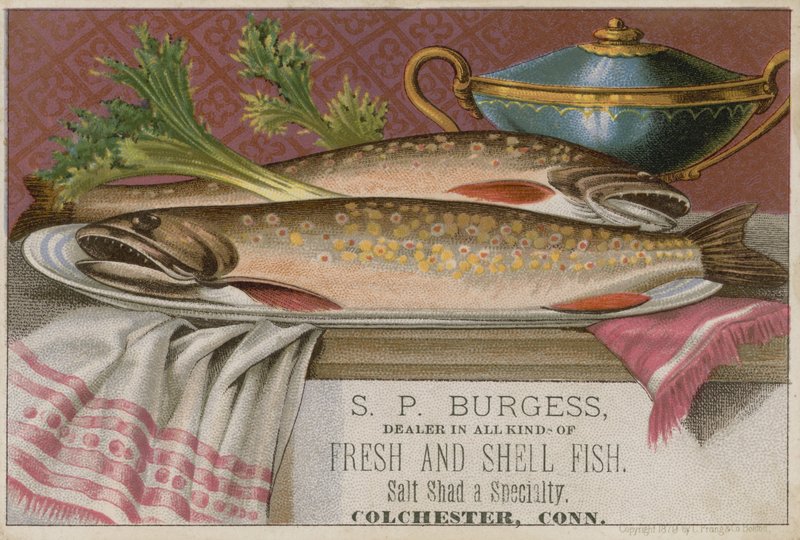 S P Burgess, carte de commerce - American School