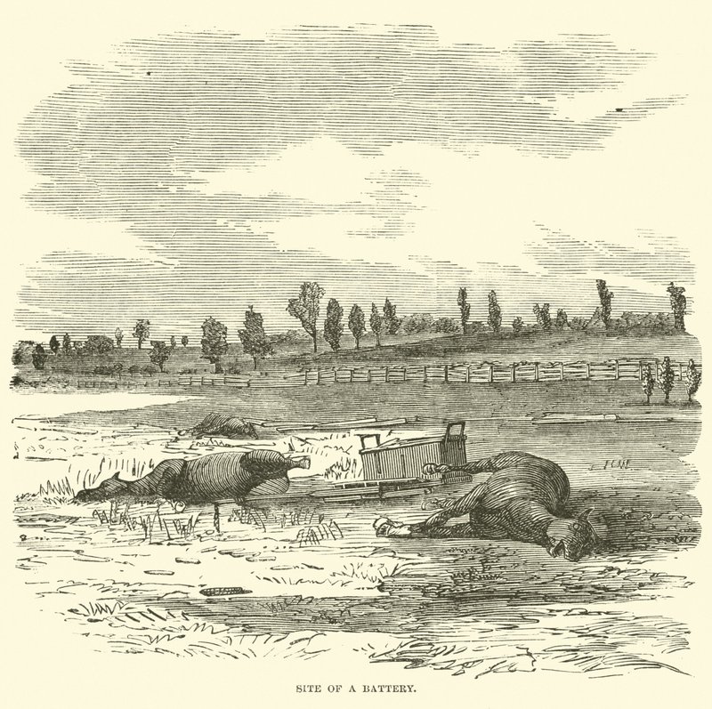 Site d