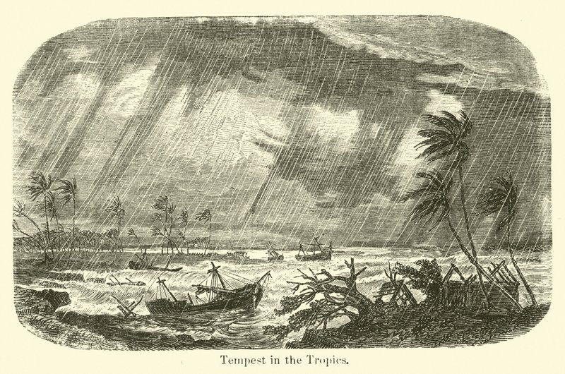 Tempête dans les tropiques - American School
