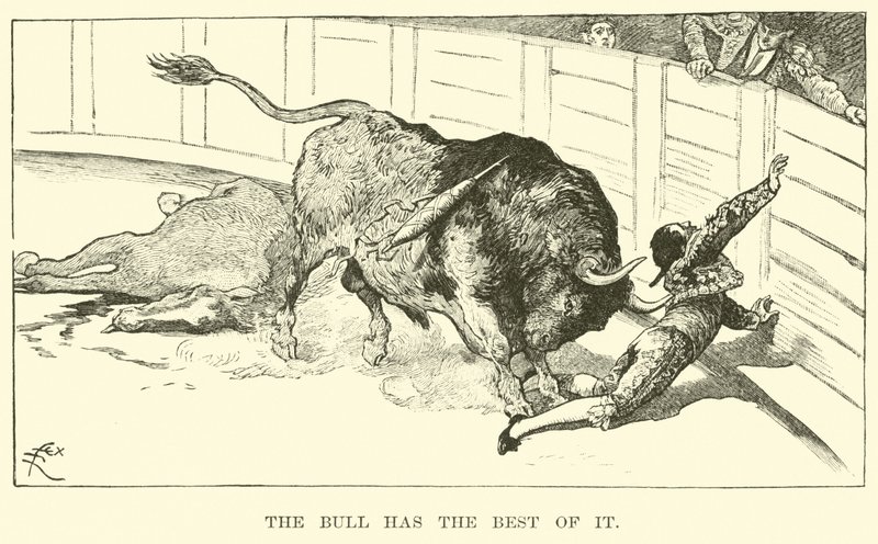 Le taureau a le dessus - American School