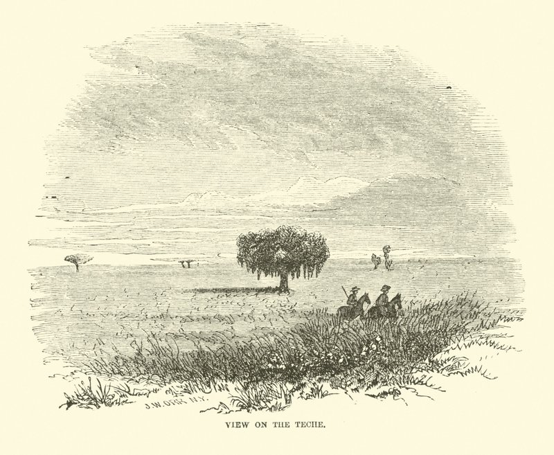 Vue sur le Teche, avril 1863 - American School