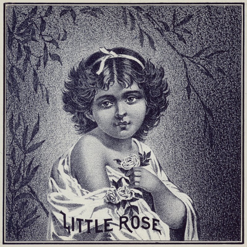 Jeune fille tenant des roses - American School