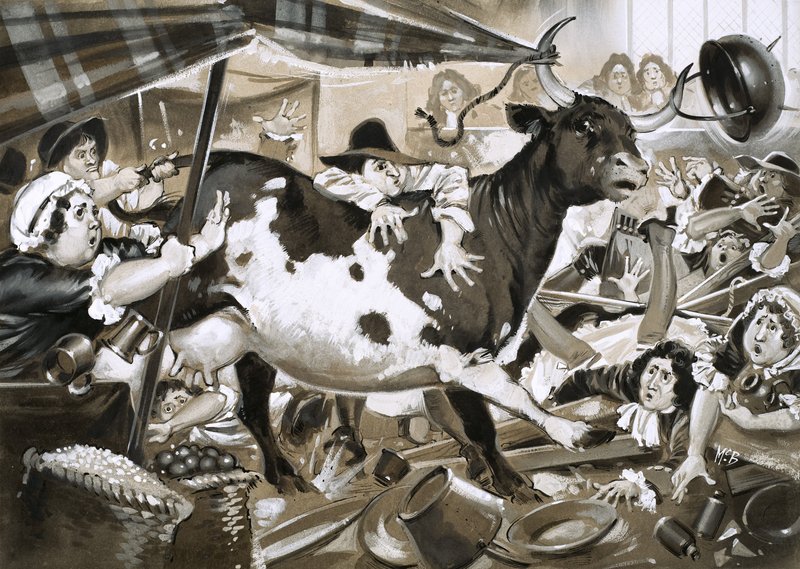 Une vache s