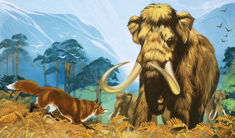 Renard attaquant un mammouth - Angus McBride