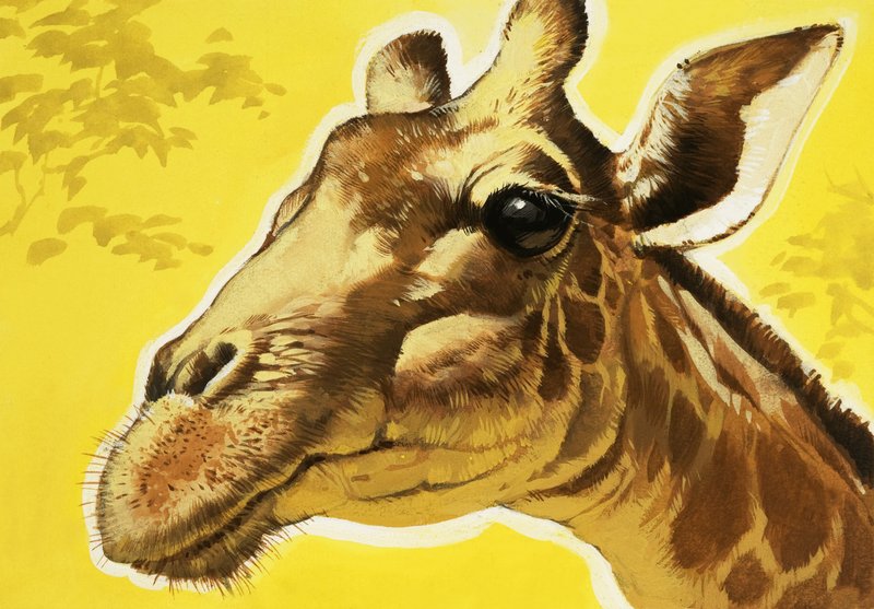 Tête de girafe - Angus McBride
