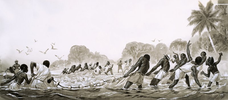 Les indigènes des Caraïbes utilisent des filets pour pêcher le poisson. - Angus McBride