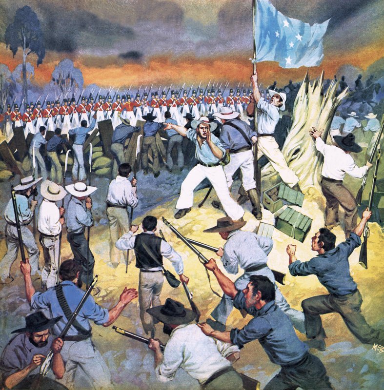 La défense de la palissade d