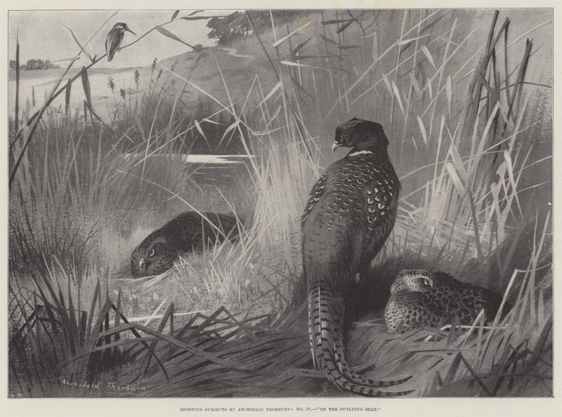 Sujets sportifs, sur le terrain périphérique - Archibald Thorburn