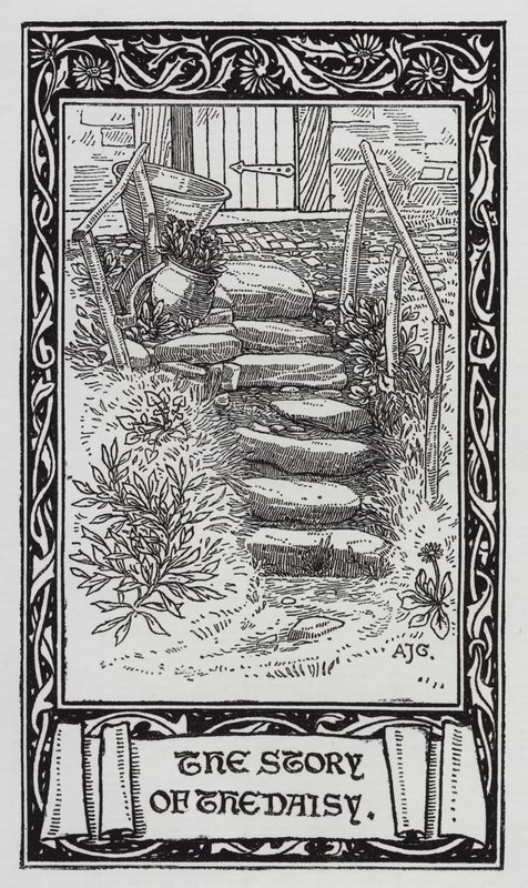 Hans Christian Andersen : La marguerite - Arthur Joseph Gaskin