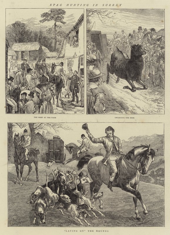 Chasse au cerf dans le Surrey - Basil Bradley