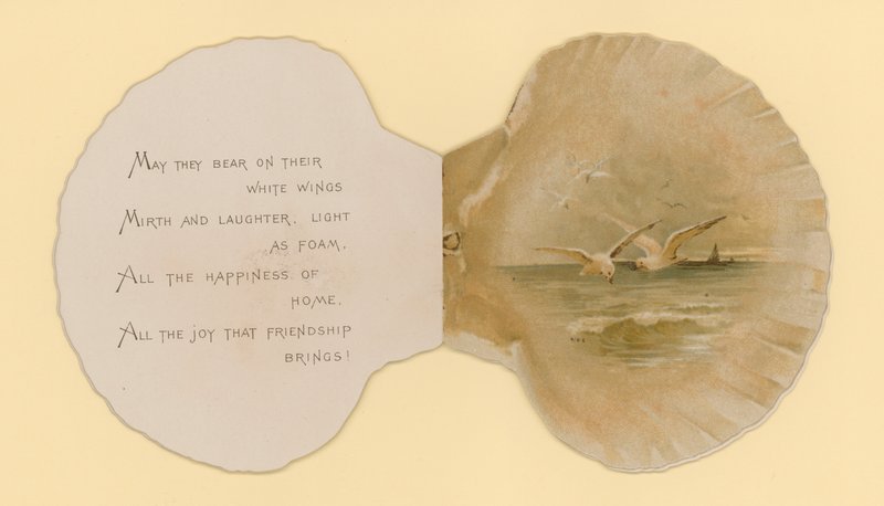 Illustration pour un livret intitulé Coquillages de mer - Benjamin D. Sigmund