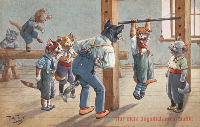 Carte postale humoristique de chat - Carl Robert Arthur Thiele