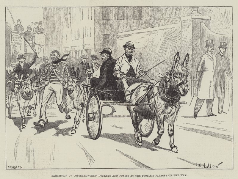 Exposition des ânes et poneys des costermongers au People