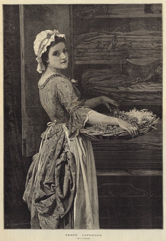 Lavande fraîche - Charles Edward Perugini