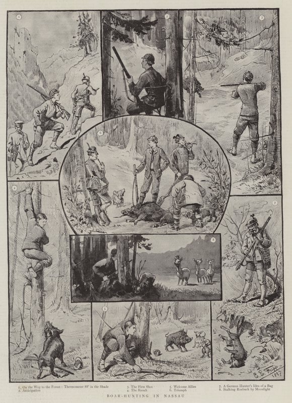 Chasse au sanglier à Nassau - Charles Edwin Fripp