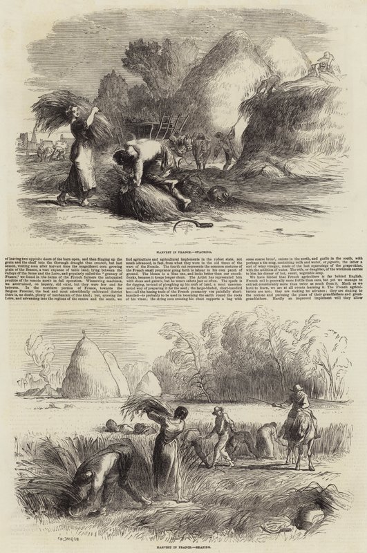 Agriculture en France - Charles Emile Jacque