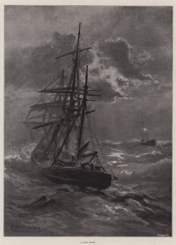 Une nuit sauvage - Charles John de Lacy