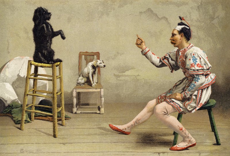 Éducation Obligatoire - Charles MacIvor or MacIver Grierson