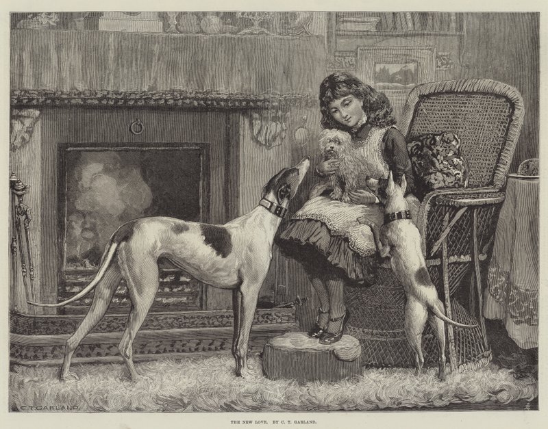 Le nouvel amour - Charles Trevor Garland