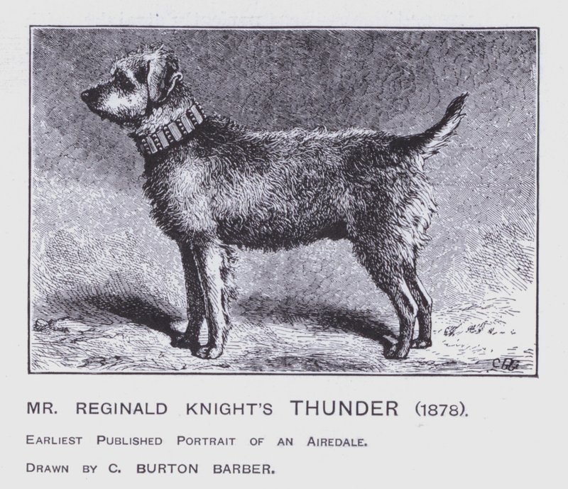 Le tonnerre de M. Reginald Knight - Charles Burton (after) Barber