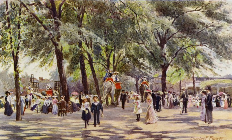 Zoo de Londres : Allée principale, avec des éléphants - Charles Edwin Flower